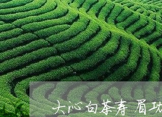 大沁白茶寿眉功效/2023090804037