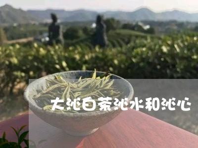 大沁白茶沁水和沁心/2023071618592