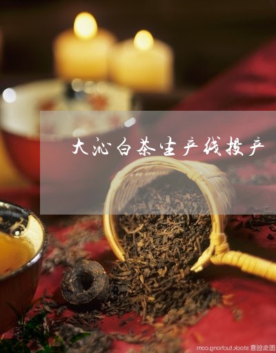 大沁白茶生产线投产/2023121838340