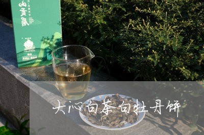 大沁白茶白牡丹饼/2023061671604