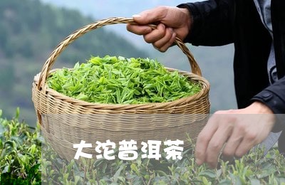 大沱普洱茶/2023090681626