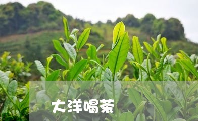 大洋喝茶/2023110963714