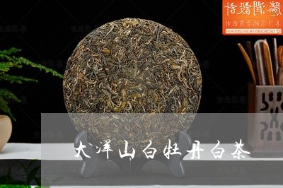 大洋山白牡丹白茶/2023090648573