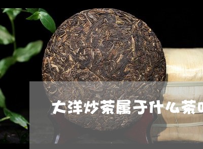 大洋炒茶属于什么茶叶/2023061064948