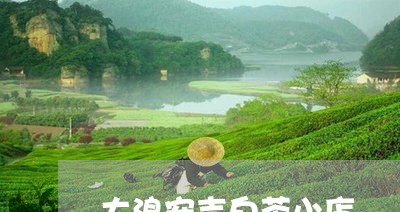 大浪安吉白茶小店/2023061698682