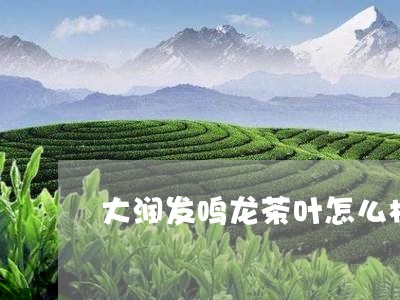 大润发鸣龙茶叶怎么样/2023092337282