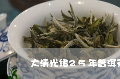 大清光绪25年普洱茶/2023092857049