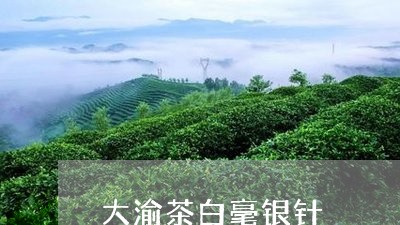 大渝茶白毫银针/2023112322726