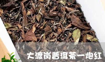 大渡岗普洱茶一炮红/2023120481483