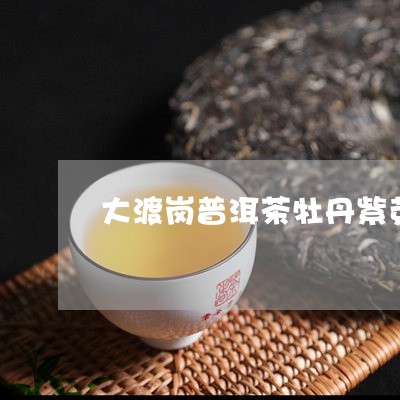 大渡岗普洱茶牡丹紫芽/2023092869463