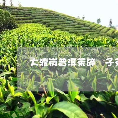 大渡岗普洱茶碎銀子茶/2023062168383