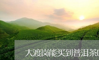 大渡岗能买到普洱茶吗/2023092739671