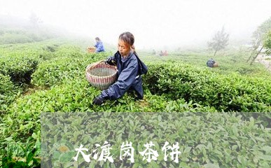 大渡岗茶饼/2023090260303