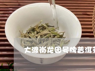 大渡岗龙园号牌普洱茶/2023061632714