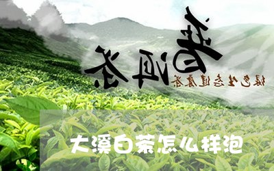 大溪白茶怎么样泡/2023061605928