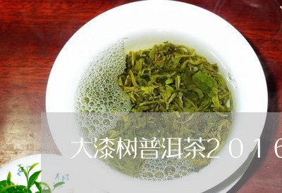 大漆树普洱茶2016年/2023102406059