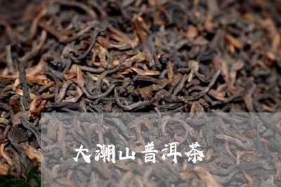 大潮山普洱茶/2023042742466