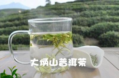 大炳山普洱茶/2023042534592