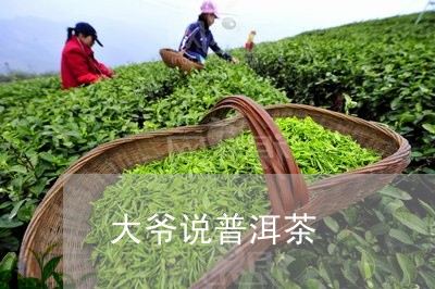 大爷说普洱茶/2023081875050