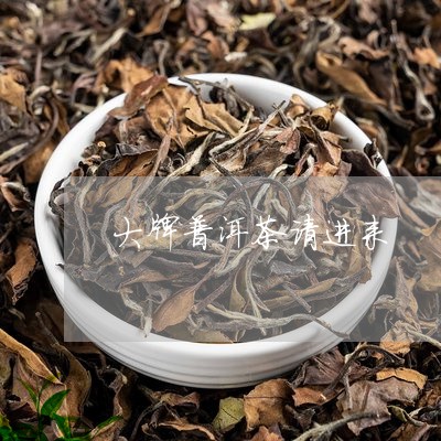 大牌普洱茶请进来/2023120498361