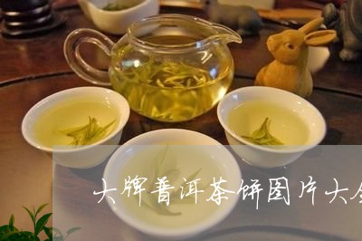 大牌普洱茶饼图片大全及价格/2023082839692