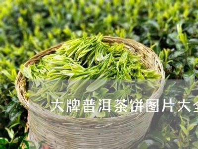 大牌普洱茶饼图片大全集/2023050627049