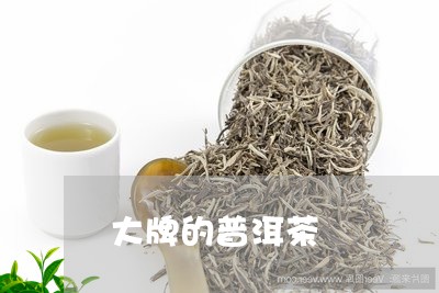 大牌的普洱茶/2023042654170