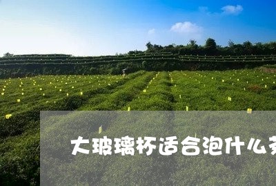 大玻璃杯适合泡什么茶/2023071457492