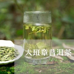 大班章普洱茶/2023042910136