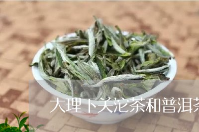 大理下关沱茶和普洱茶/2023080335727