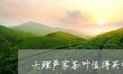 大理严家茶叶值得买吗/2023092372725