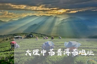 大理中茶普洱茶地址/2023070997389