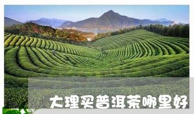 大理买普洱茶哪里好/2023071162016