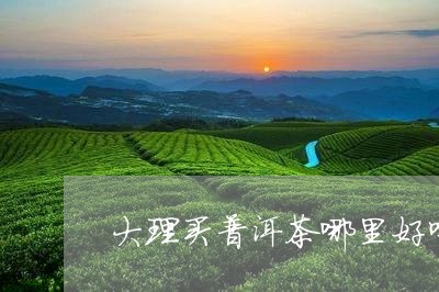 大理买普洱茶哪里好喝一点/2023112459648