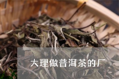 大理做普洱茶的厂/2023082956170