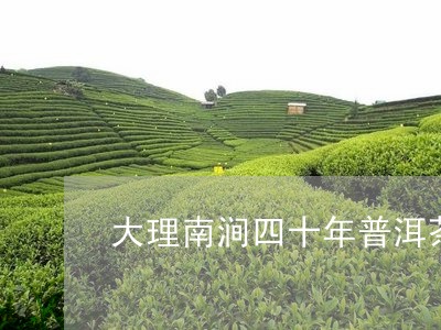 大理南涧四十年普洱茶/2023080275836