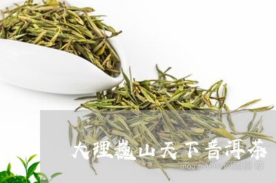 大理巍山天下普洱茶/2023101701483