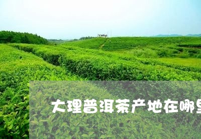 大理普洱茶产地在哪里/2023100758480