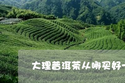 大理普洱茶从哪买好一点/2023103147481