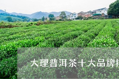 大理普洱茶十大品牌排行/2023102505159