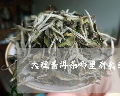 大理普洱茶哪里有卖的/2023061872715