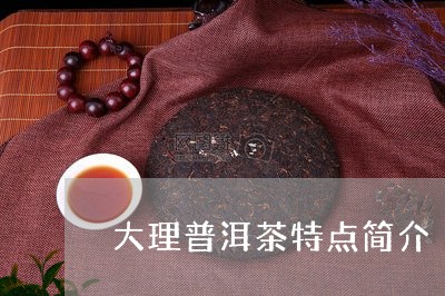 大理普洱茶特点简介/2023082911503