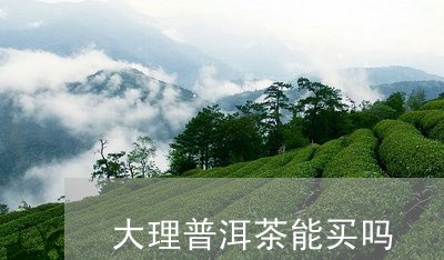 大理普洱茶能买吗/2023121573936