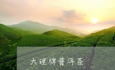 大理牌普洱茶/2023042686456