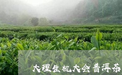 大理生机大会普洱茶/2023071108683