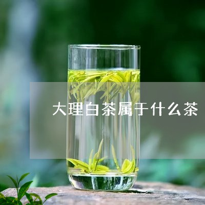 大理白茶属于什么茶/2023071706168