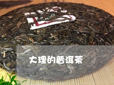 大理的普洱茶/2023091301593