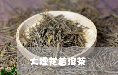 大理花普洱茶/2023042622005