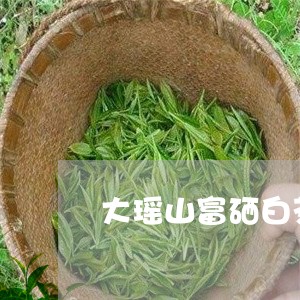 大瑶山富硒白茶厂家/2023071755258