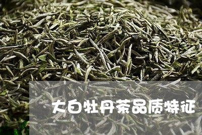 大白牡丹茶品质特征/2023120597159